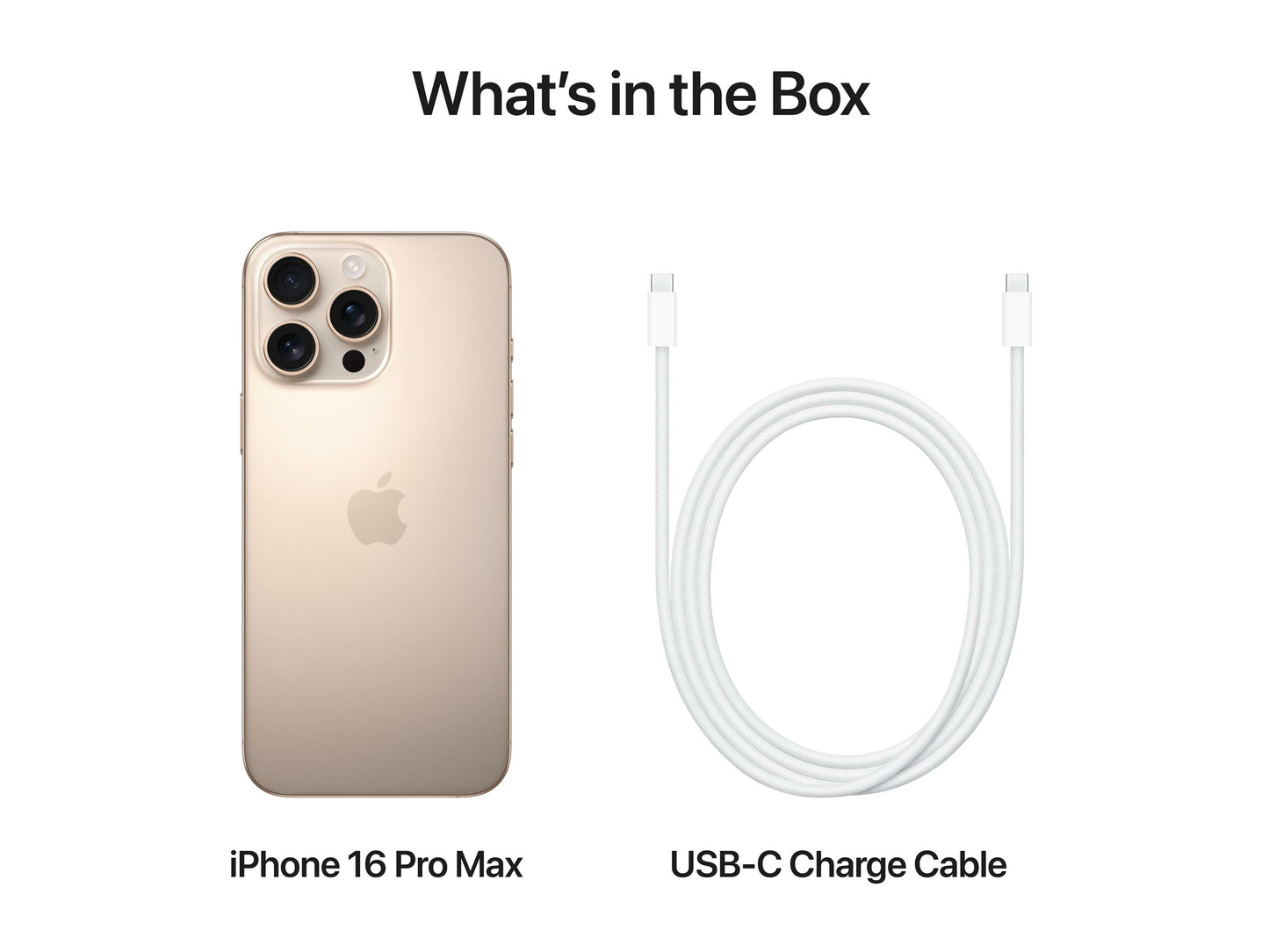 Apple iPhone 16 Pro Max 17,5 cm (6.9") Dubbla SIM-kort iOS 18 5G USB Type-C 1 TB Slipa