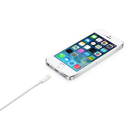 Apple Lightning to USB Cable 2 metre