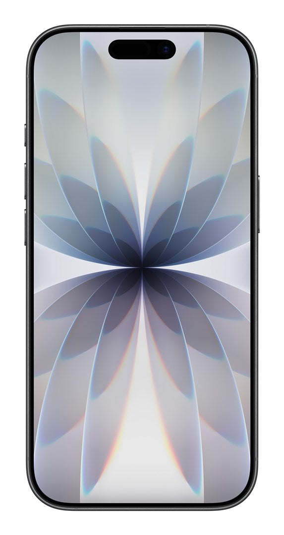 Apple iPhone 17 16 cm (6.3") Dual SIM iOS 26 5G USB Type-C 256 GB Black – Apple