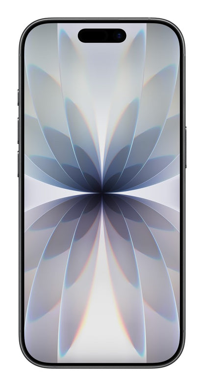 Apple iPhone 17 16 cm (6.3") Dual SIM iOS 26 5G USB Type-C 256 GB Black – Apple