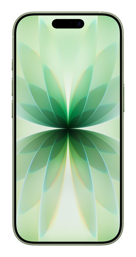 Apple iPhone 17 16 cm (6.3") Dual SIM iOS 26 5G USB Type-C 256 GB Sage – Apple