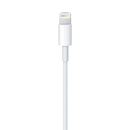Apple Lightning to USB Cable 2 metre
