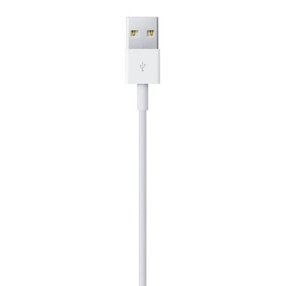 Apple Lightning to USB Cable 2 metre