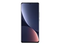 Xiaomi 12 Pro 17,1 cm (6.73") Dubbla SIM-kort Android 12 5G USB Type-C 12 GB 256 GB 4600 mAh Grå