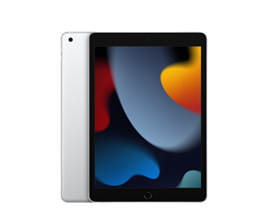 Apple iPad 256 GB 25,9 cm (10.2") Wi-Fi 5 (802.11ac) iPadOS 15 Silver