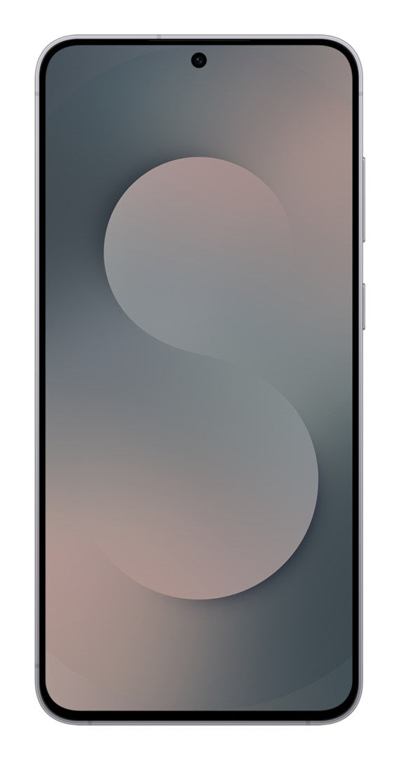 Samsung Galaxy S25 FE 5G 17 cm (6.7") Dual SIM USB Type-C 8 GB 256 GB 4900 mAh Black – Samsung