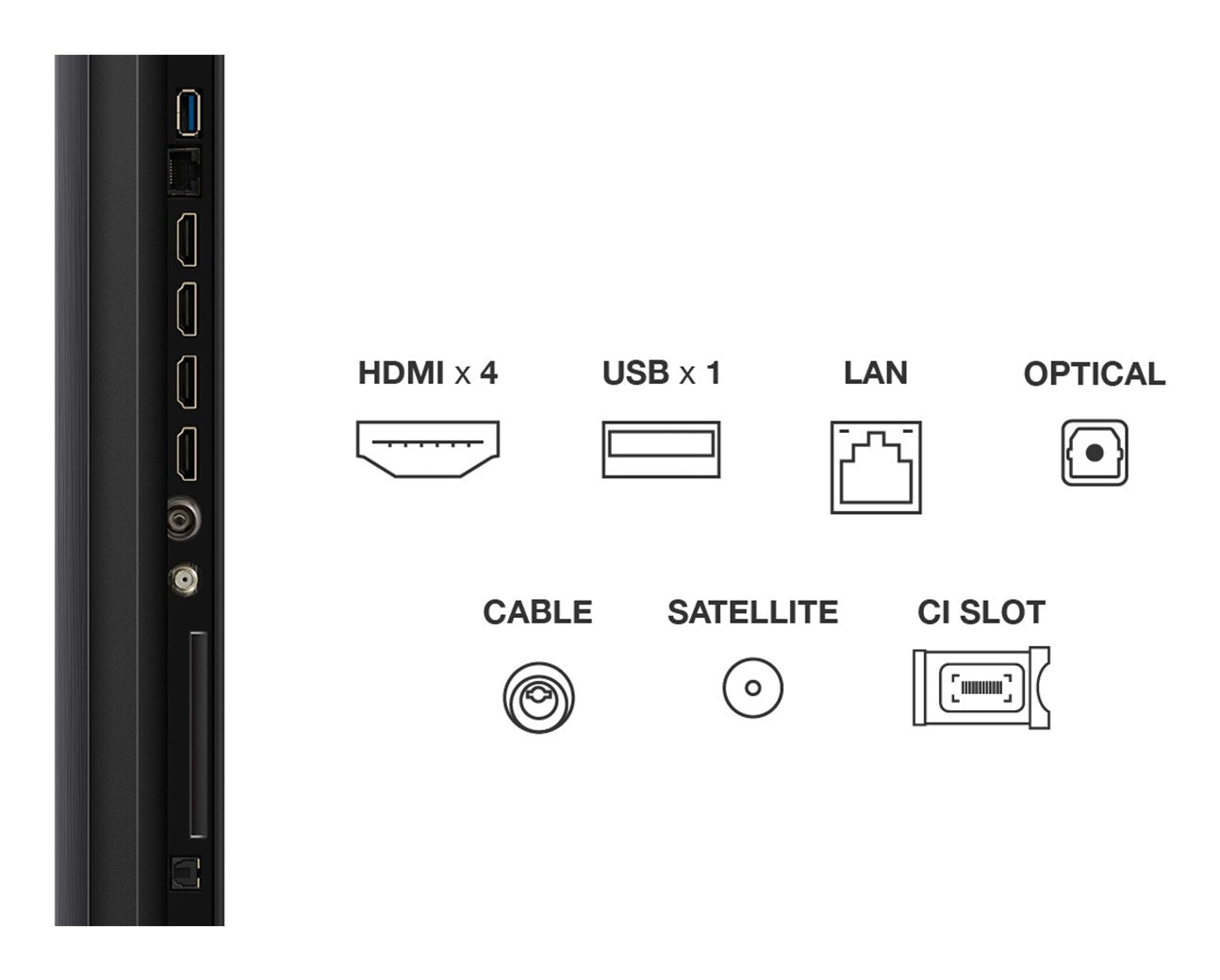 TCL Q6C 85Q6C TV 2.16 m (85") 4K Ultra HD Smart TV Wi-Fi Metallic